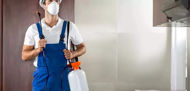 Why East Hartford Homeowners Choose Us When Pests Make Selling Difficult