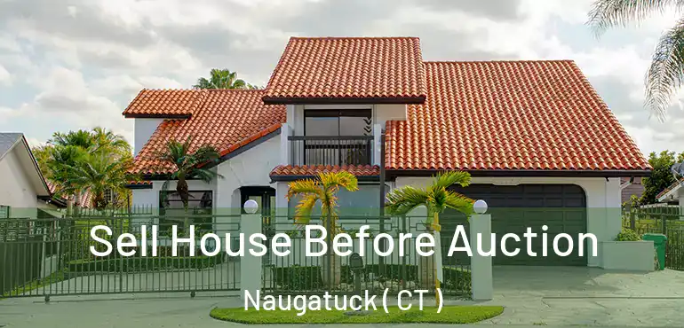  Sell House Before Auction Naugatuck ( CT )